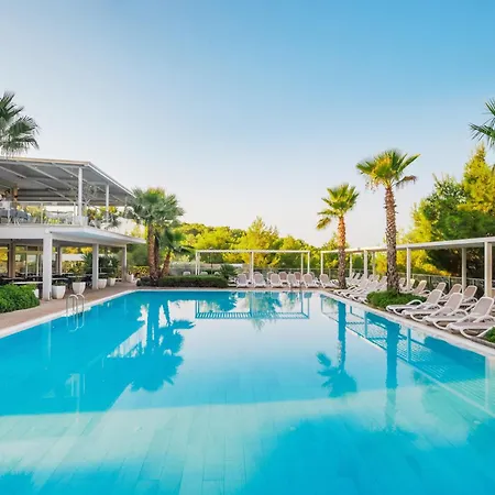 Gava Waterman 4*